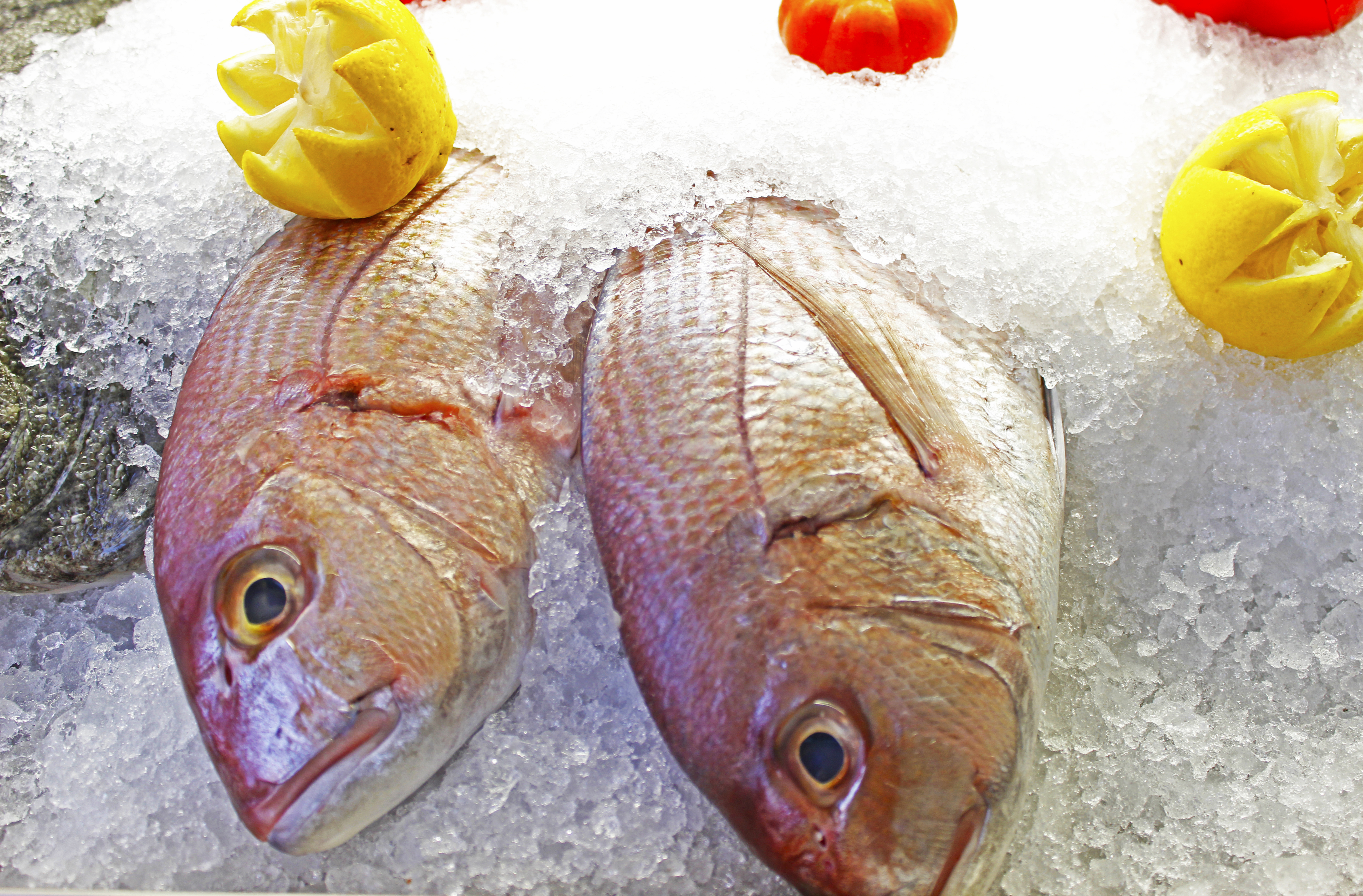 Sailing and cooking: Ready, Steady, …Sail & Cook!